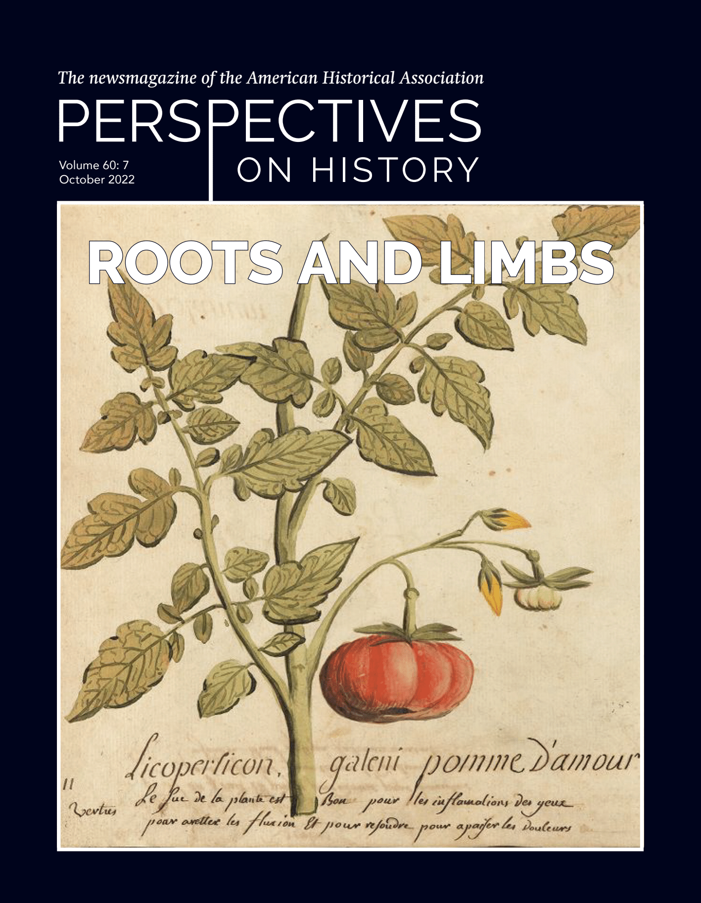 Perspectives on History October 2022 Cover. A colored sketch of a tomato plant on linen paper. The text reads: “LICOPERSICON GALENI POMME D’AMOUR. Le suc de la plante est bon por les inflamations des yeux pour aretter les fluxion et pour rejoudre pour apaiser les douleurs.” (Licopersicon galeni, Apple of Love. The sap of the plant is good for eye inflammation, stopping swelling, and alleviating illness.)
